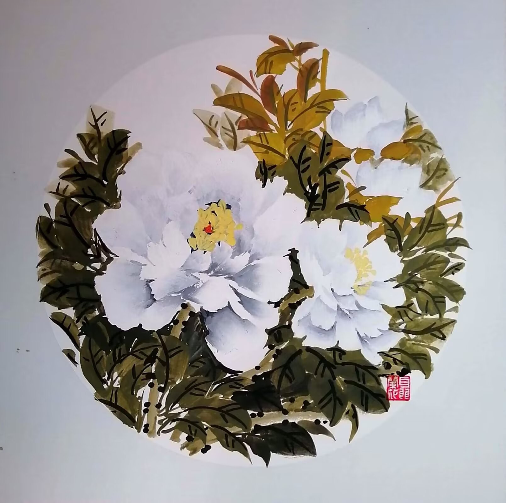 图片 11.jpg
